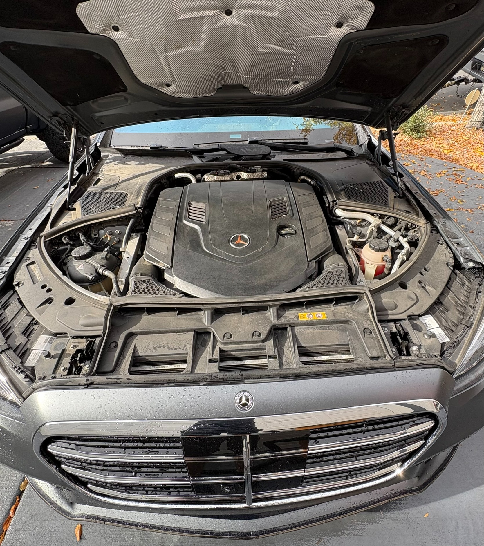 Mercedes Engine Bay Detail Before